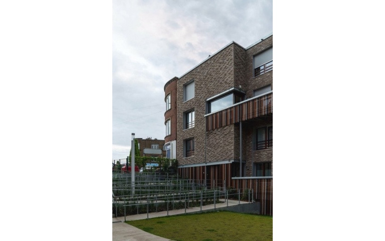 Intertwining urban ecology