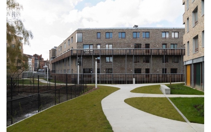 Intertwining urban ecology