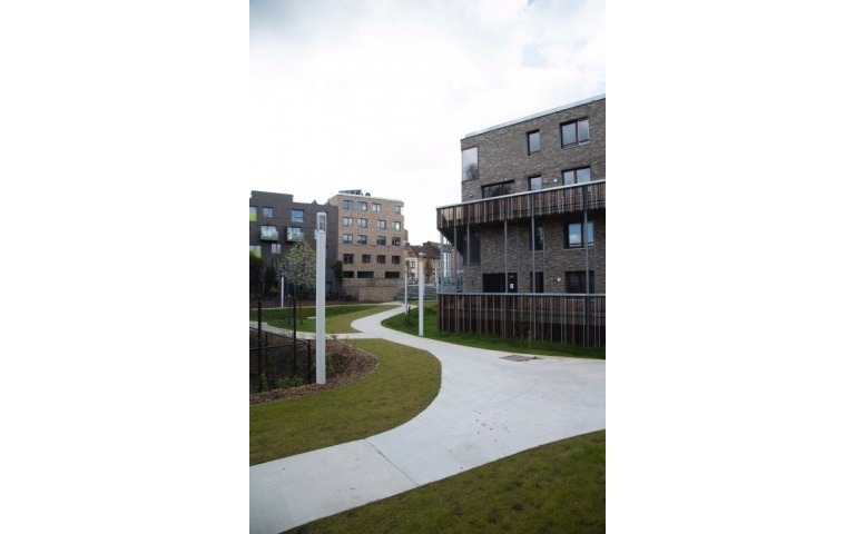 Intertwining urban ecology
